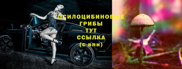 прущие грибы Балахна